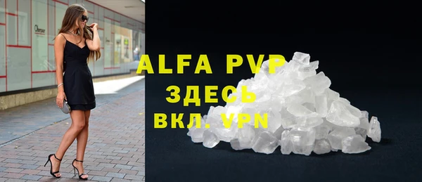 гашик Арсеньев
