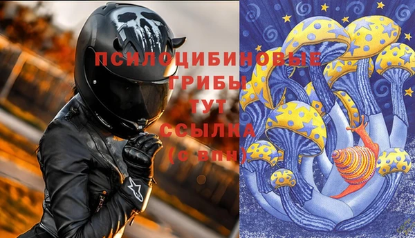 гашик Арсеньев
